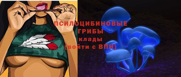 apvp Богородск