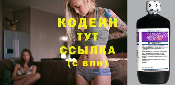 mix Богородицк
