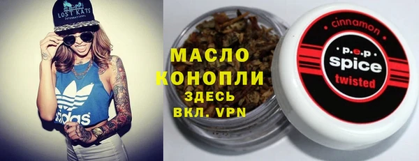 mix Богородицк