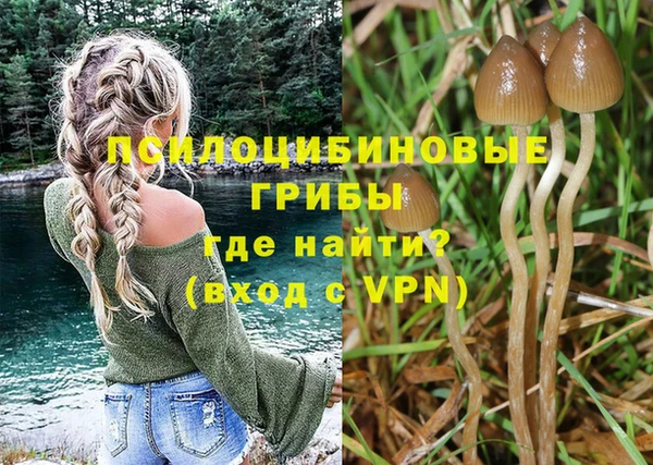 apvp Богородск