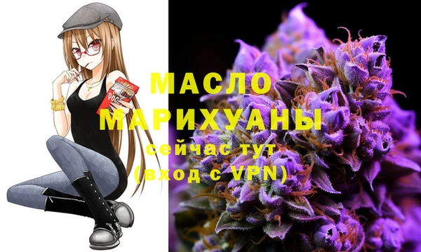 mix Богородицк