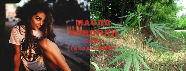 mix Богородицк