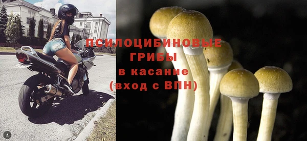 apvp Богородск