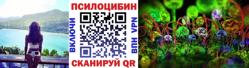 гидра как войти  Киселёвск  Галлюциногенные грибы мухоморы  закладка 